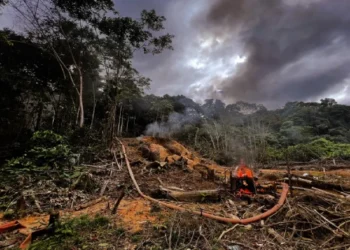queimada-floresta-yanomami