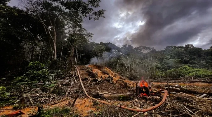 queimada-floresta-yanomami