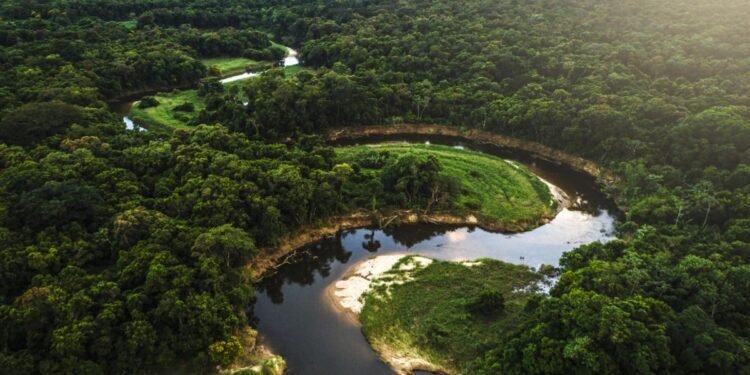 Amazônia-brasileira