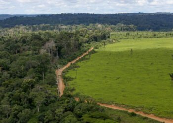 Desmatamento amazônia e cerrado