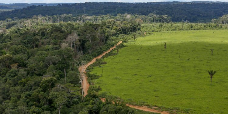 Desmatamento amazônia e cerrado