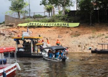 Festival Tarumã Alive (3)