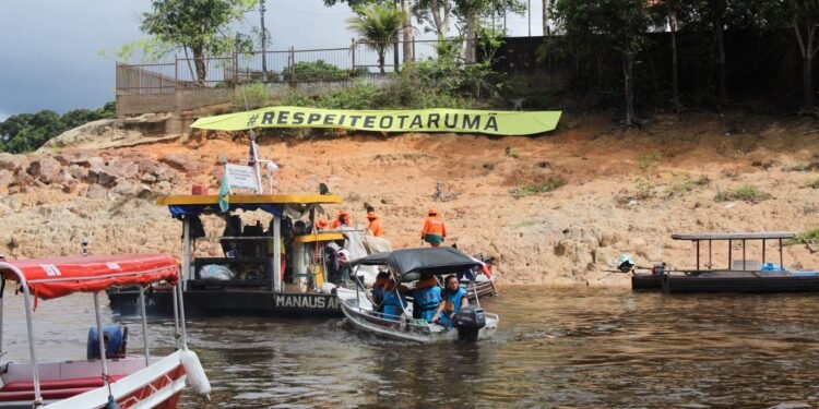 Festival Tarumã Alive (3)