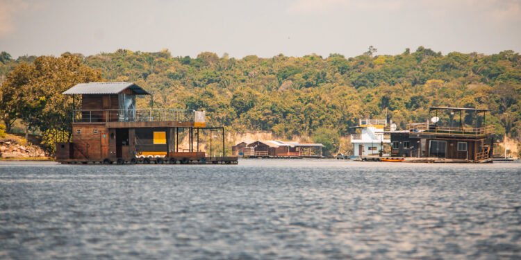 Flutuantes Tarumã-Açu