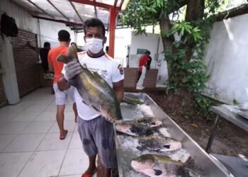 Fundação Amazônia Sustentável