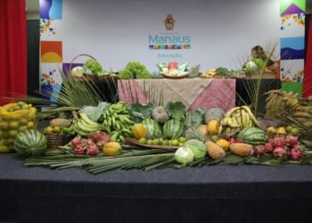Agricultura Familiar é destaque de investimento em Manaus