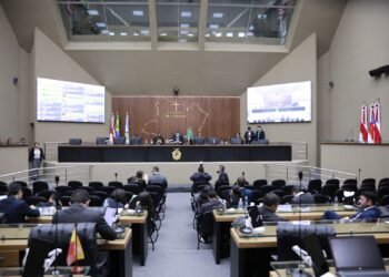 Linguagem neutra Aleam