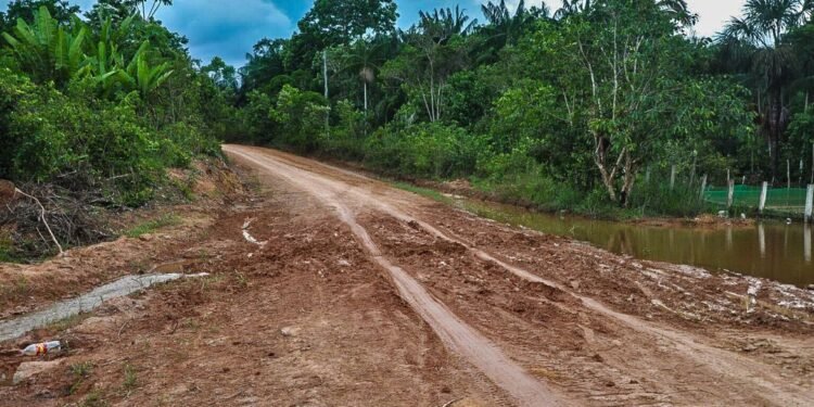 creditos_cristie_sicsu