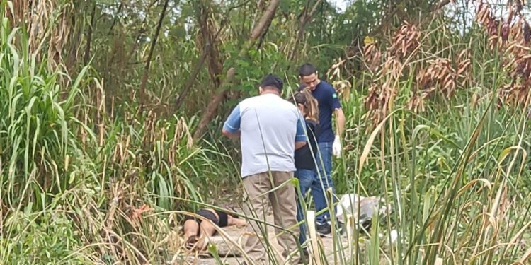 Corpo de mulher morta a tiros é encontrado em matagal na zona Sul de Manaus