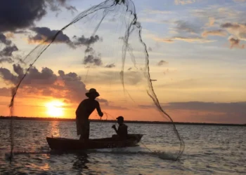 incentivo ao pescador