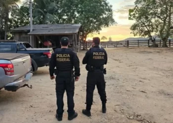 pf-do-para-fez-operacao-contra-o-que-pode-ser-o-maior-desmatador-da-amazonia