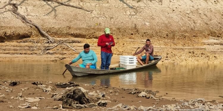 Sema-Prospeccao-da-pesca-ornamental
