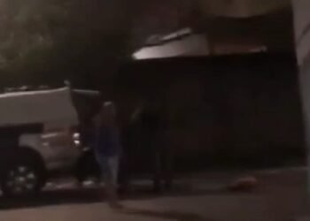 Cachorro policiais Manaus