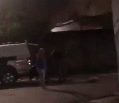 Cachorro policiais Manaus