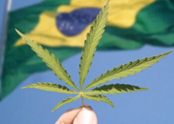 Legalização da maconha