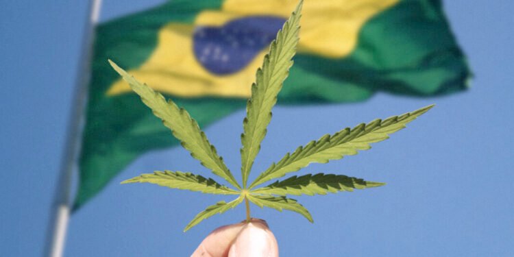 Legalização da maconha