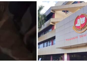 MP-AM abre ação para apurar conduta de policial que atirou em cachorro caramelo