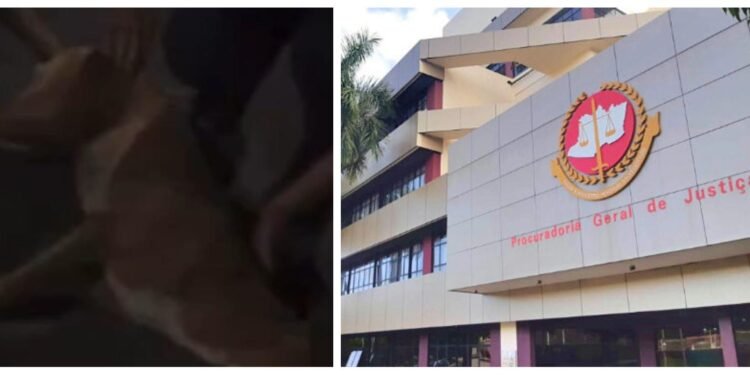 MP-AM abre ação para apurar conduta de policial que atirou em cachorro caramelo