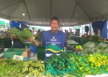 café regional-feira-ADS