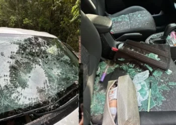 carro de turista destruído