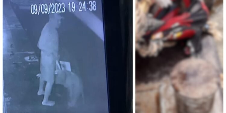 Homem que caiu em rio é encontrado em estado esquelético, no município de Lábrea