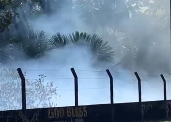 Foco de incêndio área de mata