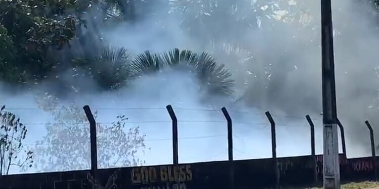 Foco de incêndio área de mata