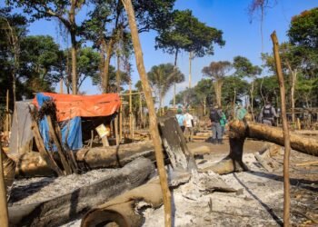 força-tarefa de proteção ambiental