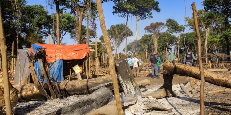 força-tarefa de proteção ambiental