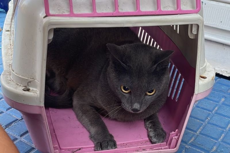 incendio-galeria-brinquedo4