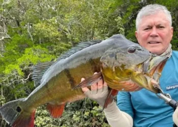 medico-acidente-aviao