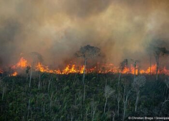 queimada-amazonia