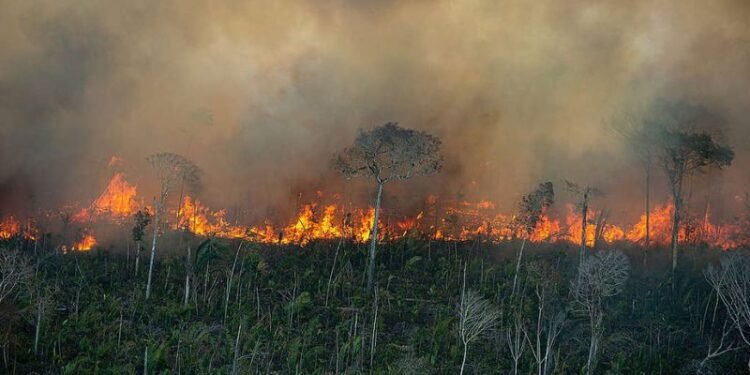 queimada-amazonia