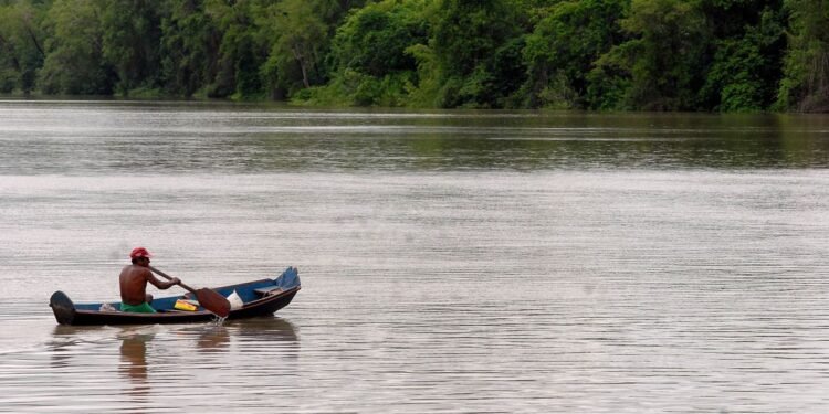 Amazonia-Legal