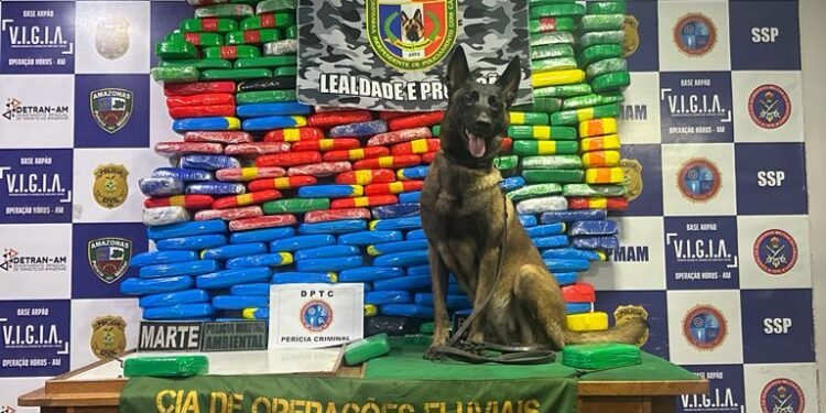 Base arpão- drogas apreendidas- coari