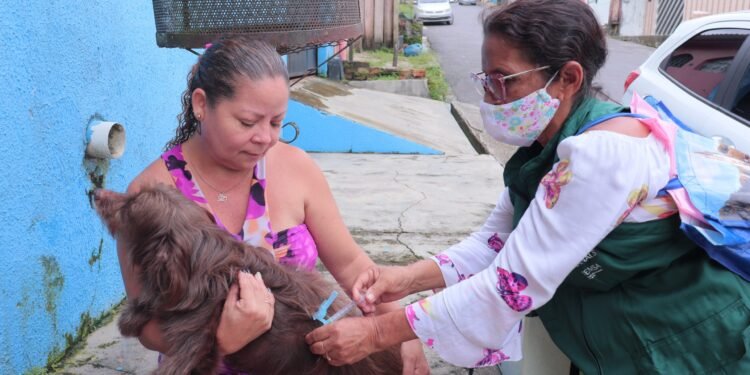 FVS-RCP_Vacinacao-antirrabica
