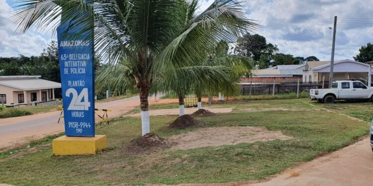 Mulher é presa após atacar o companheiro com enxada, no interior do Amazonas