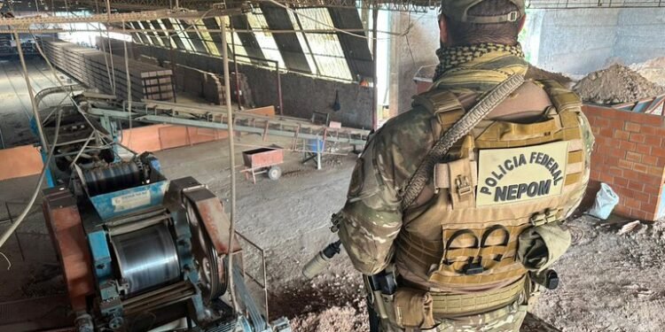 Operação PF Amazonas