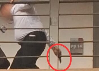 Professor faca Unicamp