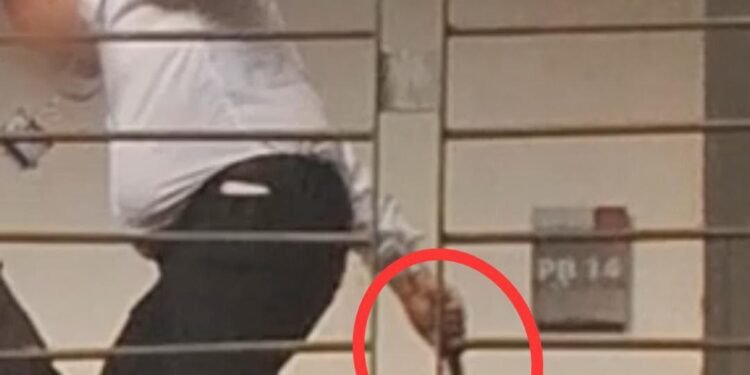 Professor faca Unicamp