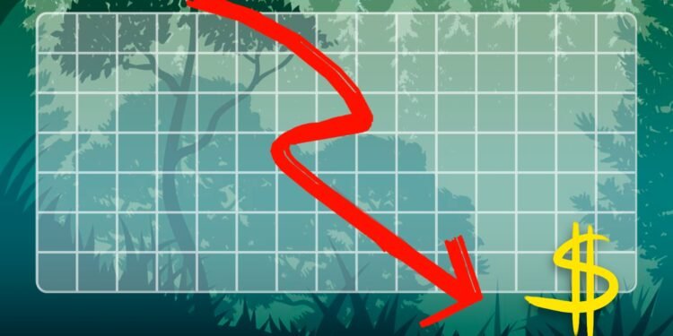 Basa Recursos Amazonas