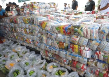 Governo do AM coordena ajuda humanitária para mais de mil famílias afetadas pela estiagem em Tefé