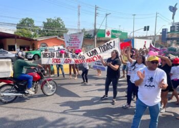 Yara Lins manifestação TCE-AM