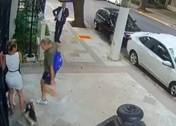 caroline zanin registra boletim de ocorrência contra homem que agrediu cachorros