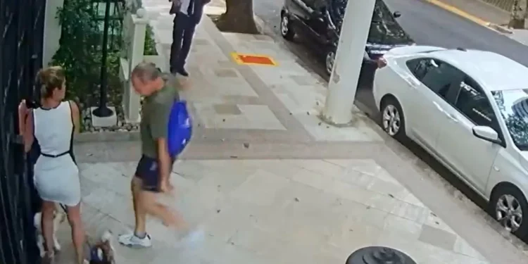 caroline zanin registra boletim de ocorrência contra homem que agrediu cachorros
