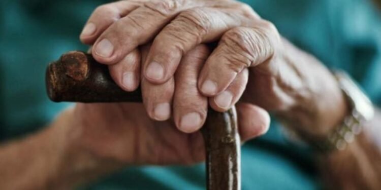 censo revela aumento de idosos no brasil