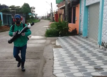 combate-a-dengue-no-amazonas