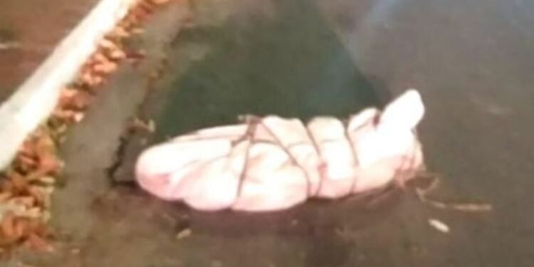 corpo-cachoeirinha-manaus