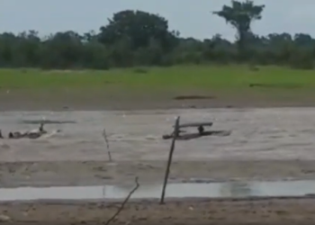corredeira se forma no rio manacapuru