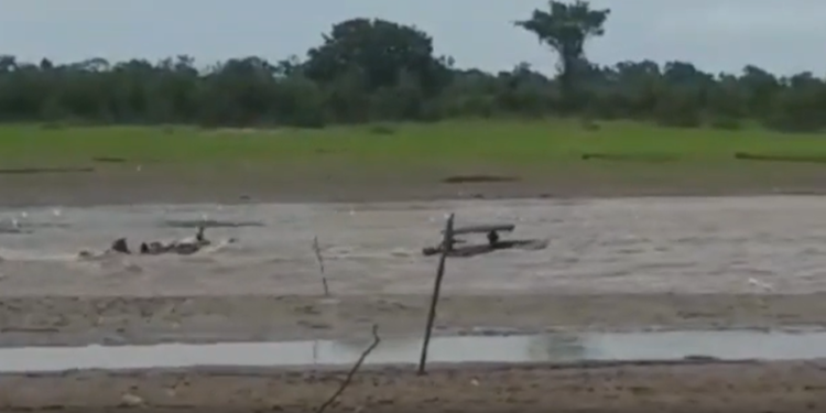 corredeira se forma no rio manacapuru